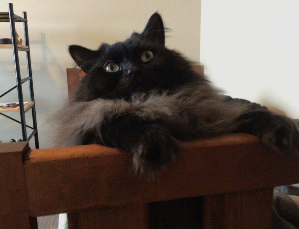 error susbluezilla new version