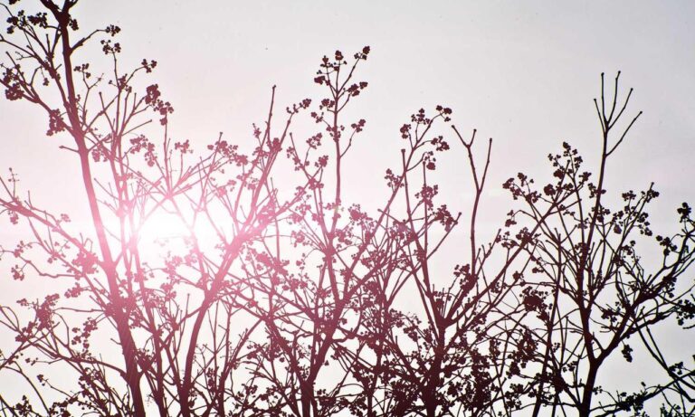 new software oxzep7 python