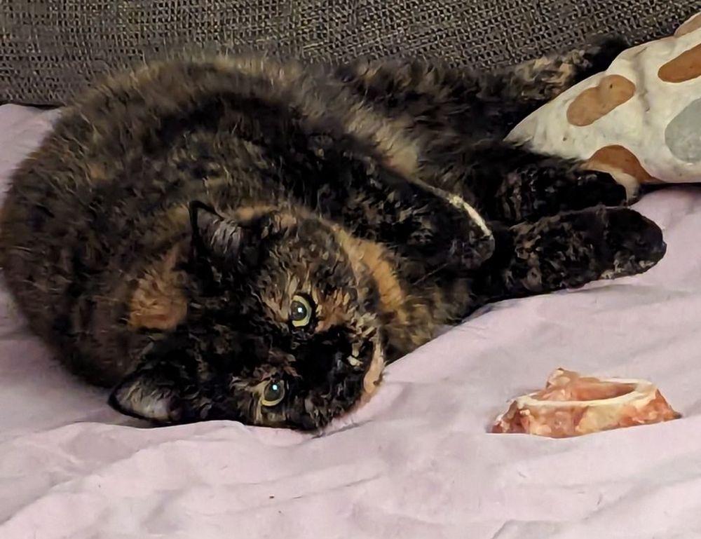 where to download ustudiobytes