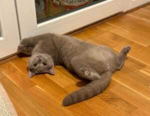 fhthopefood baking recipes by fromhungertohope