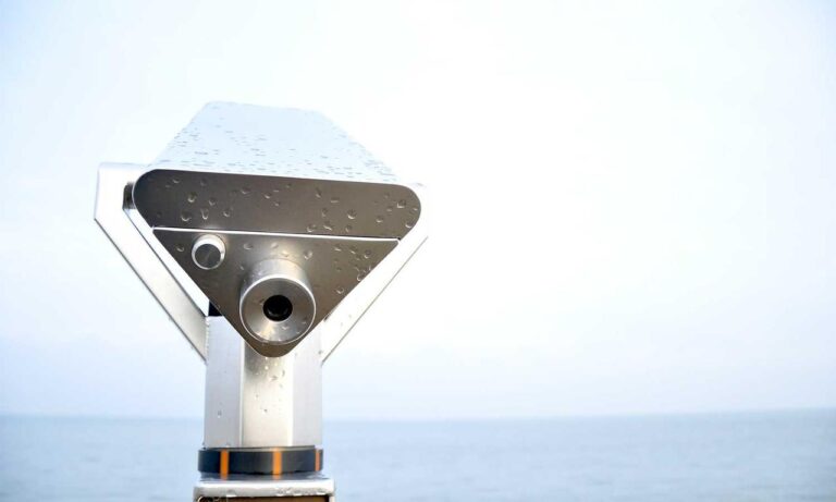 what should i cook based on what i have fhthopefood