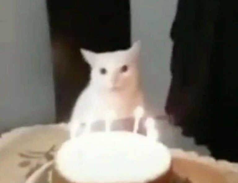 why cooking makes you happy fhthopefood