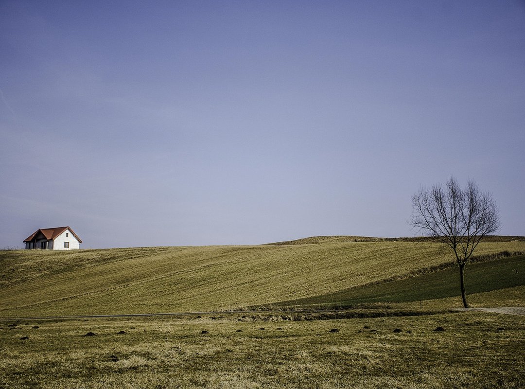 Easy Recipes Jalbiteworldfood