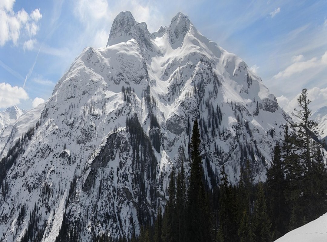 Top Tips for Finding Safe and High-Quality Character Images