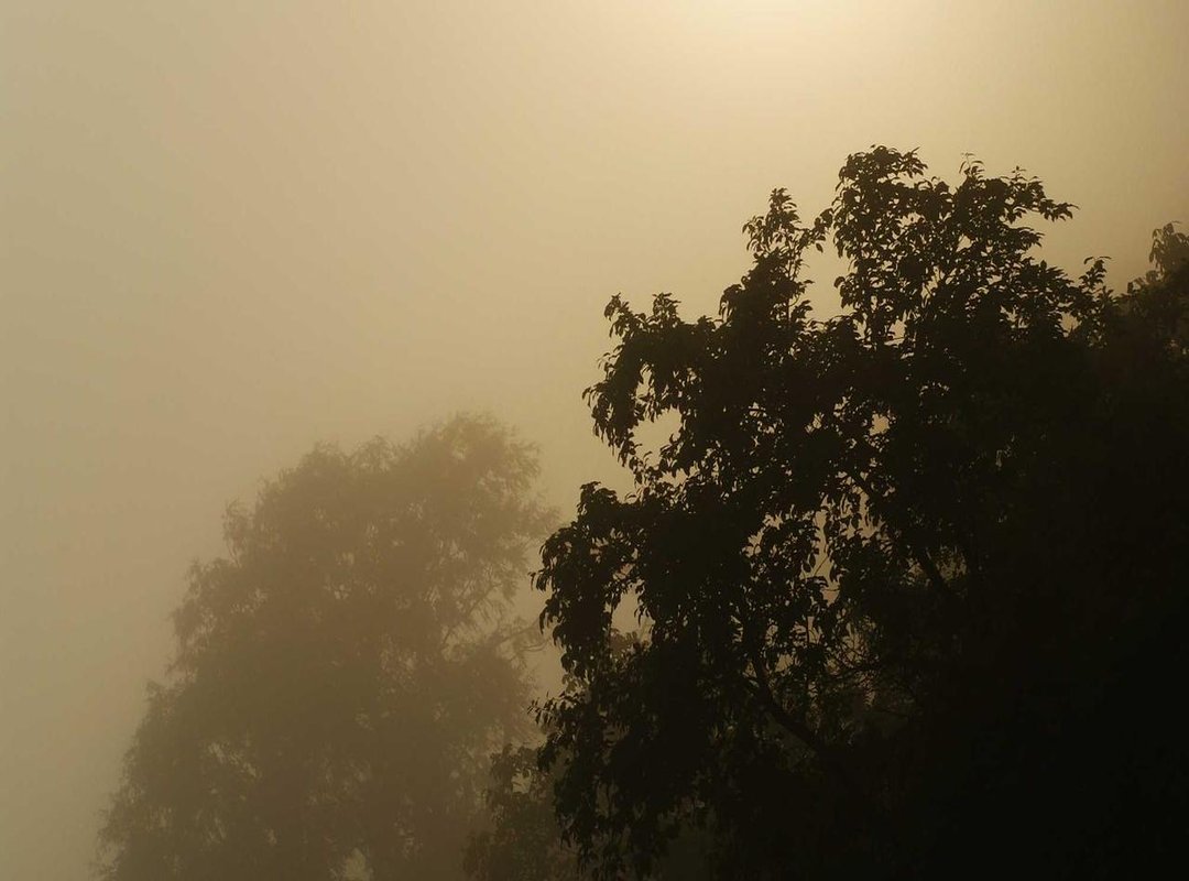 Fact-Checking the Claims: Is There Evidence of Corporate Support?