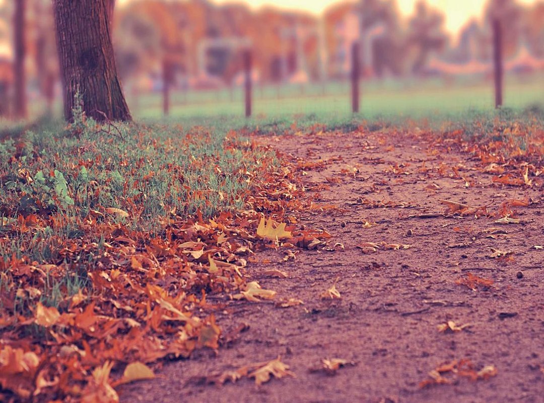 Not All Downloads Are Equal: 4 Features You Must Demand