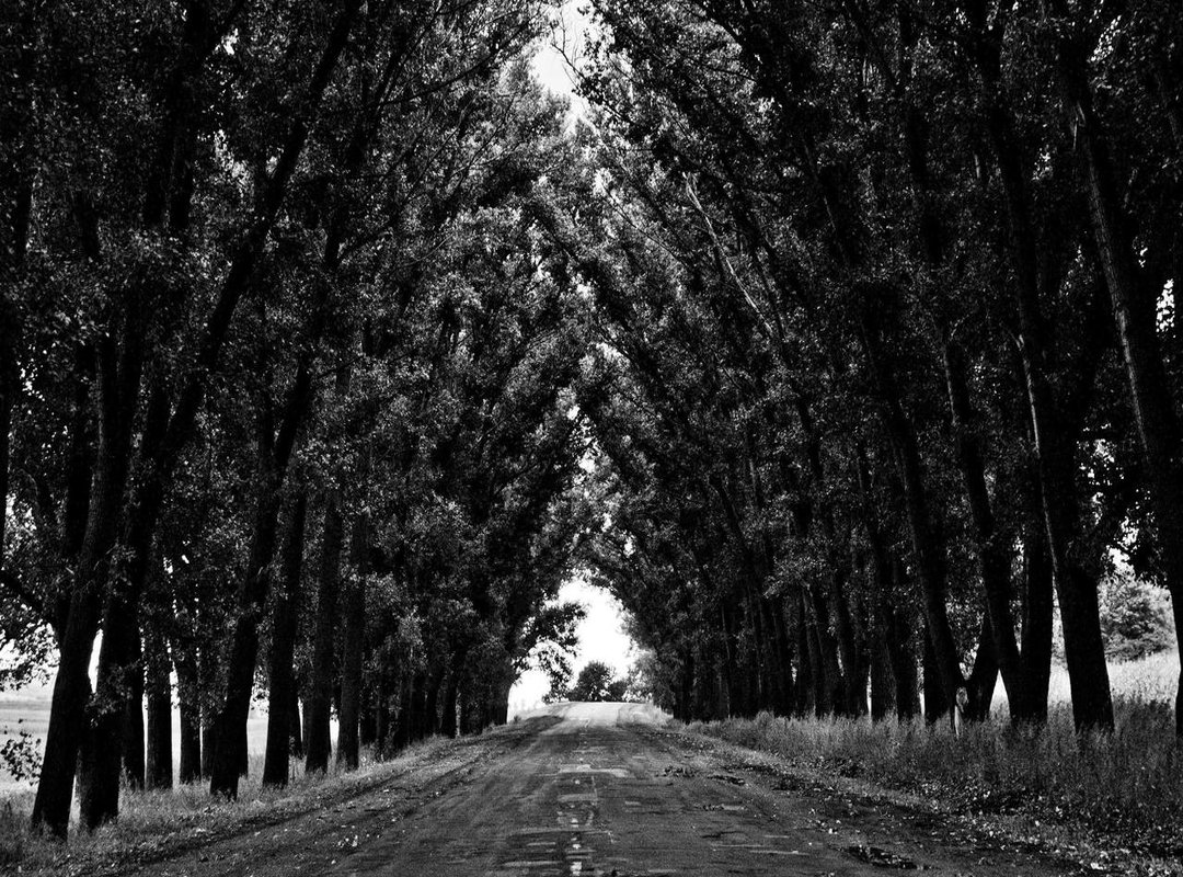 How the Meme is Used: Popular Examples and Variations