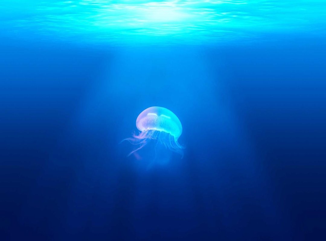 Connect and Share: Community Groups for Hijabi Women