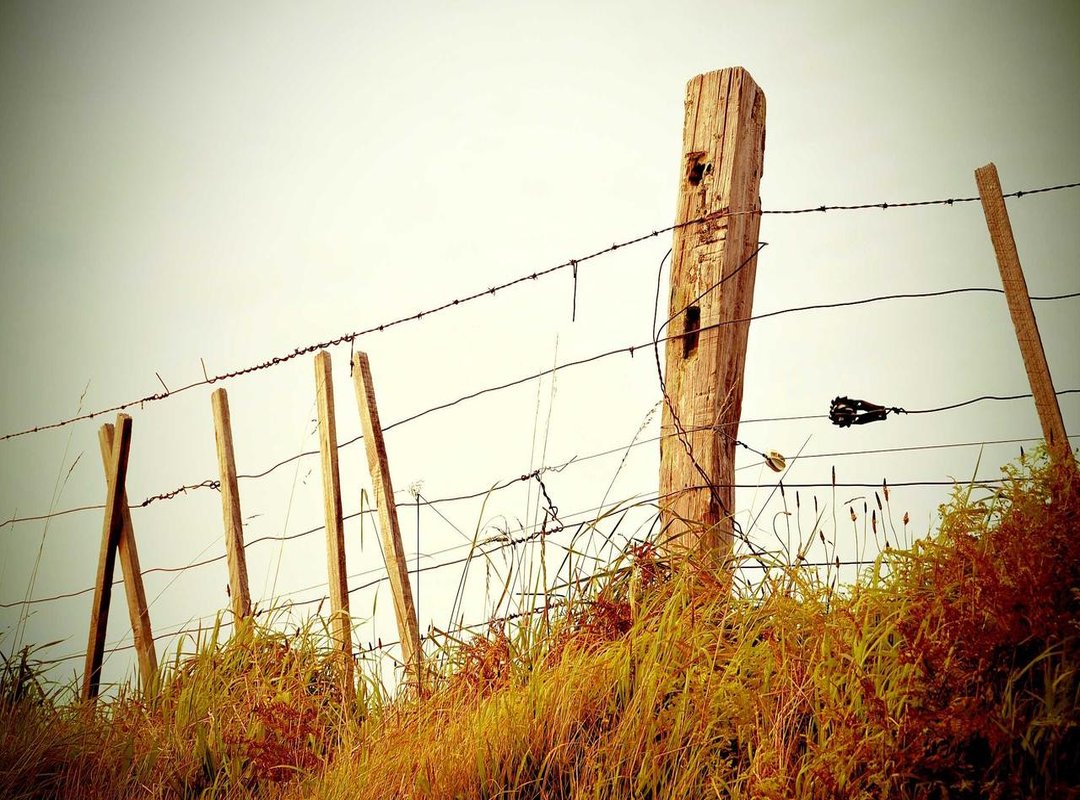 More Than Just Downloads: Discover Your Next Favorite Song