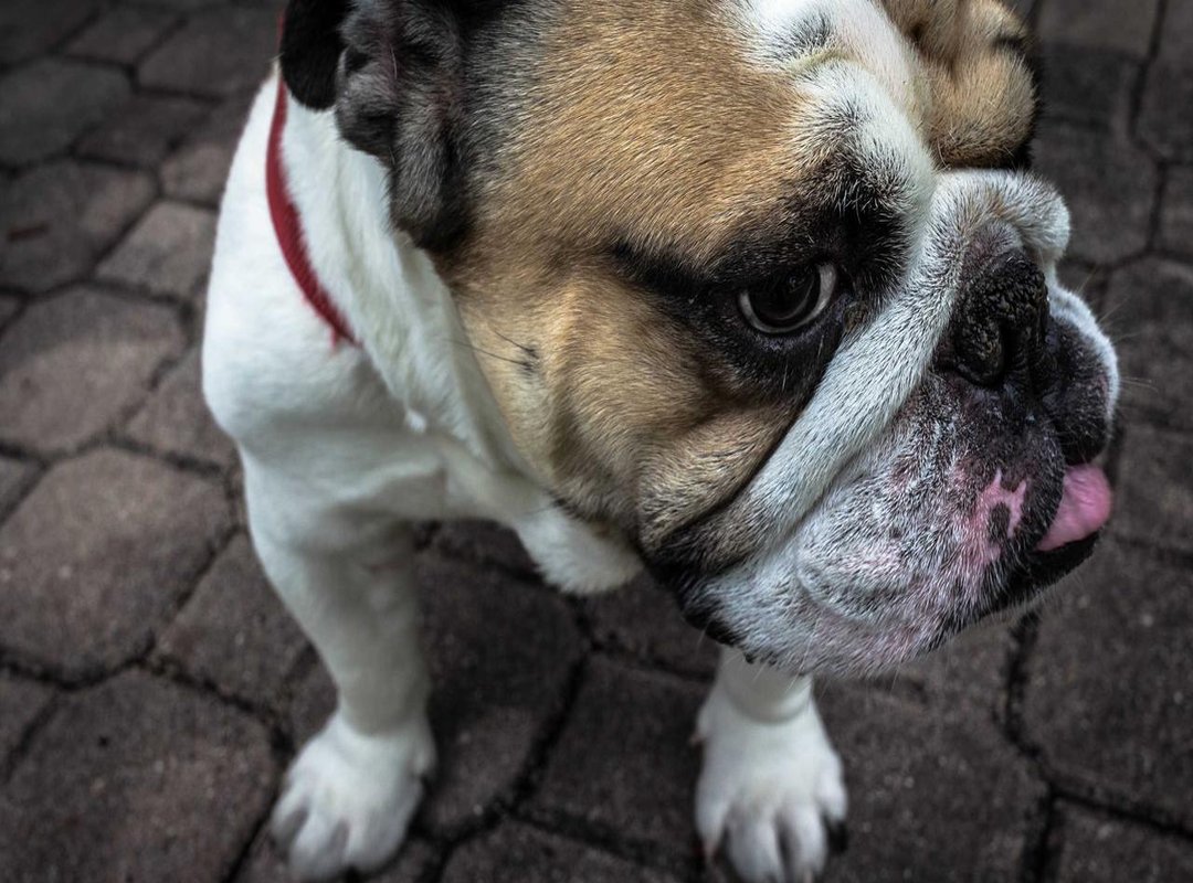 Frequently Asked Questions (FAQs)