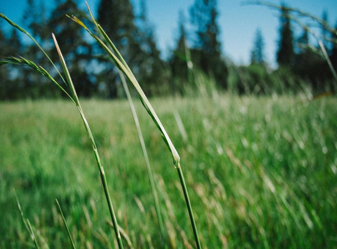 Privacy vs. Persona: The Debate Over Creators' Real Names